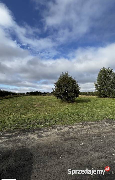 Bezpośrednio działka 3000 m z WZ DK50 Całowanie sprzedam