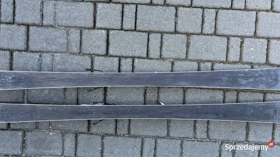 Narty TECNOPRO Safine AC Blue 160 Narty Opole