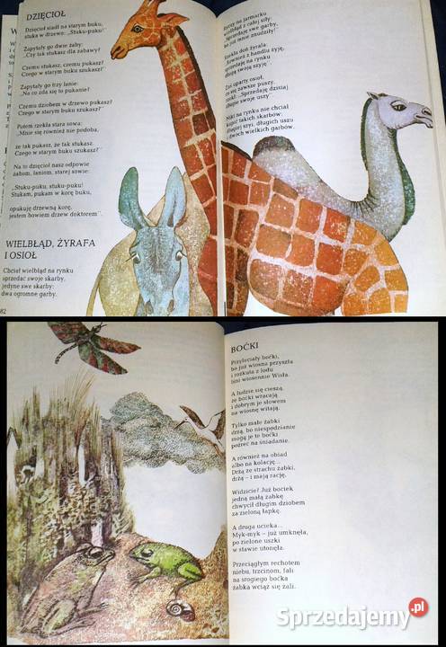 Czarymary Włodzimierz Słobodnik Chełm