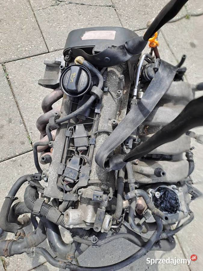 Audi Skoda Volkswagen 16 FSi skrzynia biegów kod osobowe Jastrzębie-Zdrój