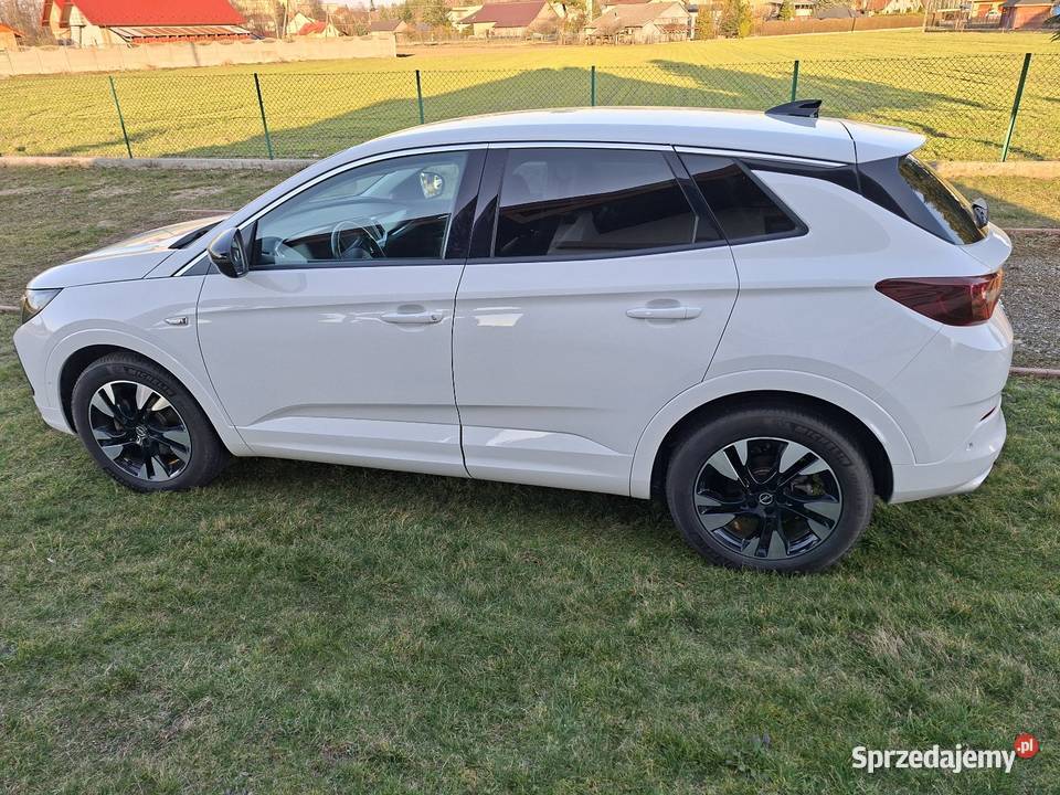 Opel Grandland x Tarnów