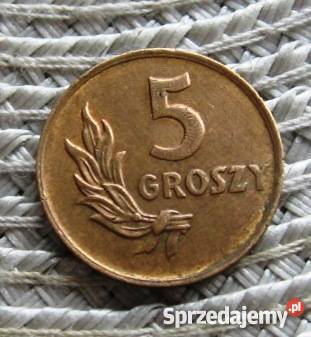 Polska 5 gr 1949rBrąz Kalisz