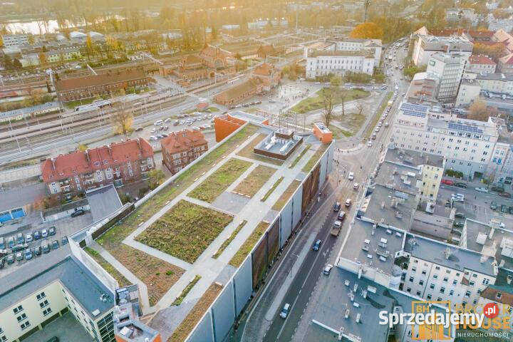 Lokal Opole 1 Maja 160m2