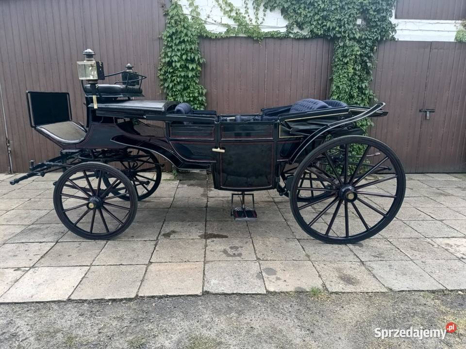 Glaslandauer Granatowy Lando Powóz Bryczka