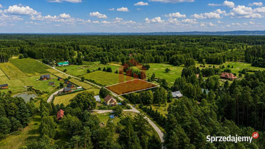 sprzedaży działki Krzywa 3100m2