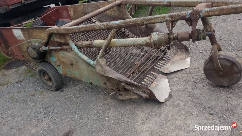 Kopaczka elewatorowa do ziemniaków Słomniki