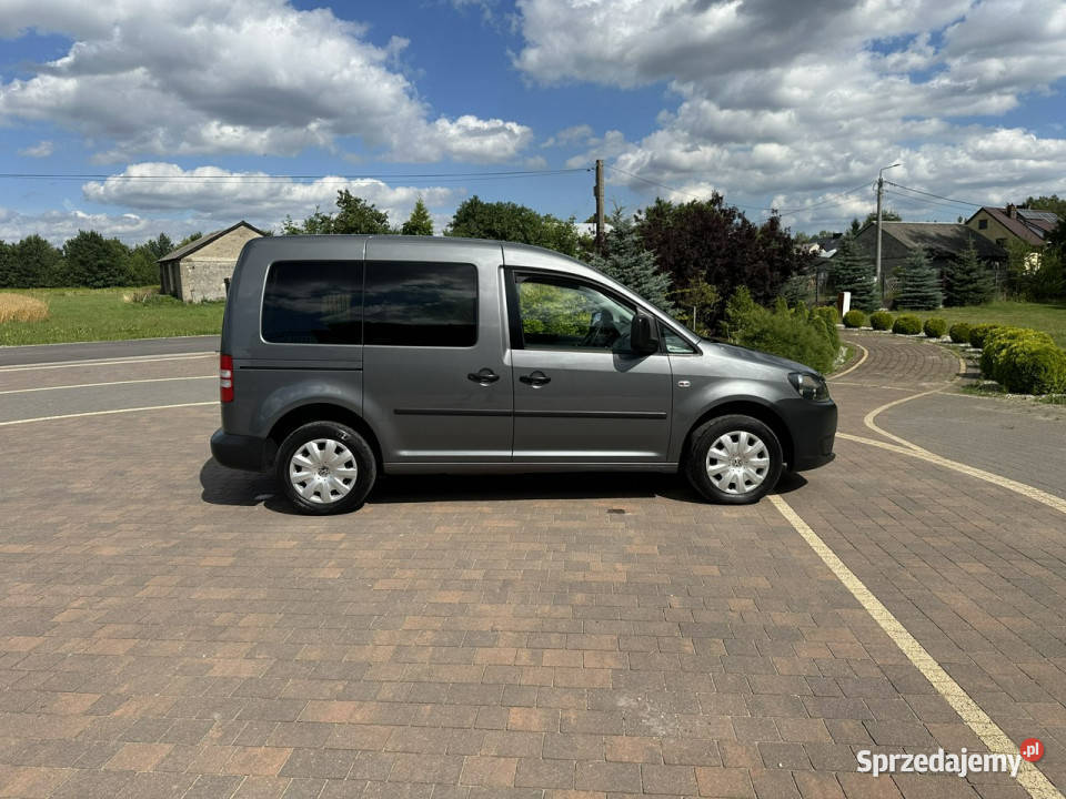 Volkswagen Caddy III 2004 Lipówki