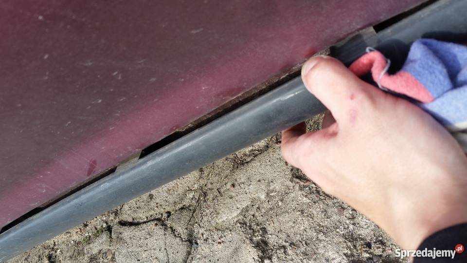 Honda Civic Protec USA Civic