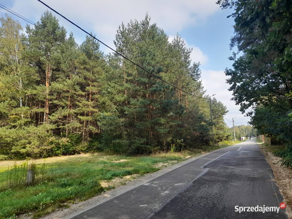 Syndyk sprzeda udziały w grunatach Jastkowice podkarpackie