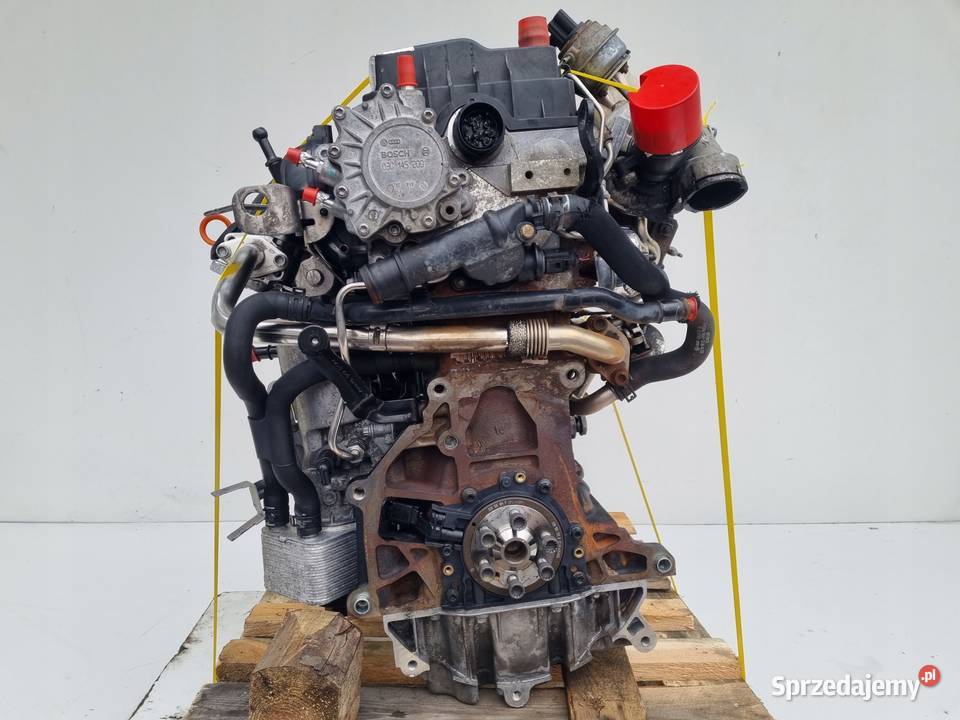 SILNIK KOMPLET VW Jetta III V Golf V 20 TDI 170 Rudka