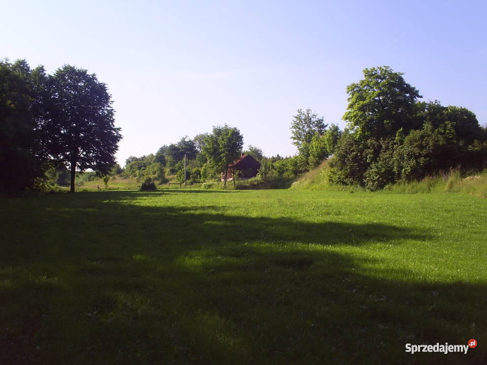 działka pod lasem Szreniawa