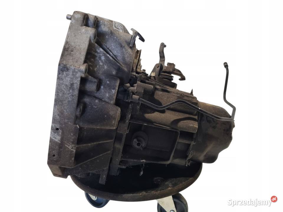 SKRZYNIA BIEGÓW Nissan Qashqai J10 16 16V osobowe Chełm
