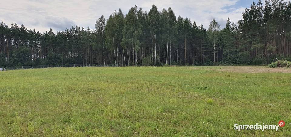 Działka budowlana w otulinie lasu Sprzedaż Juszkowy Gród