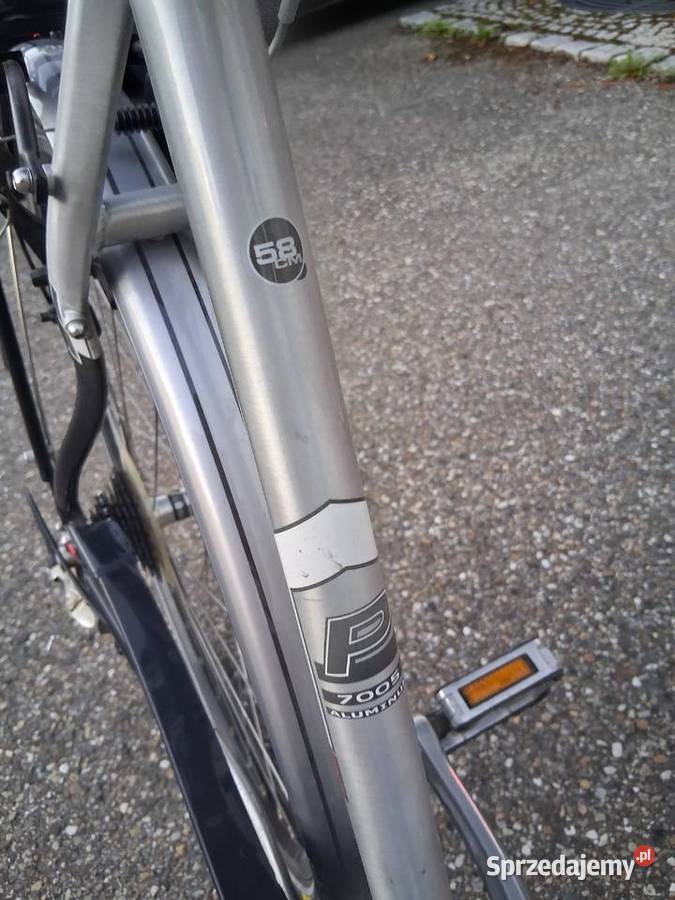 Pegasus Premio SL Ropczyce