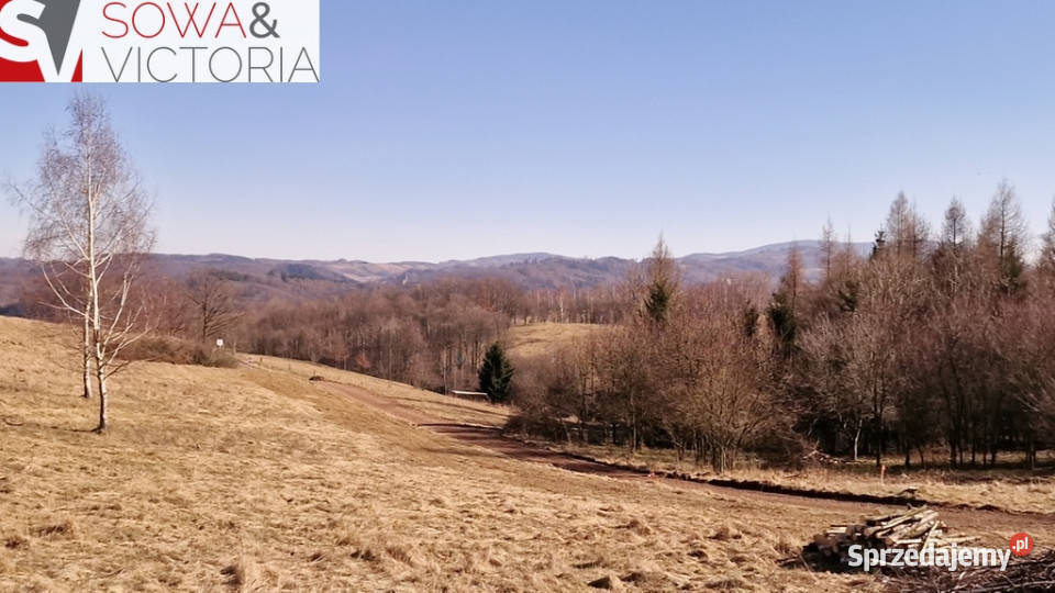 Panorama Góry Sowie asfalt dolnośląskie Zagórze Śląskie