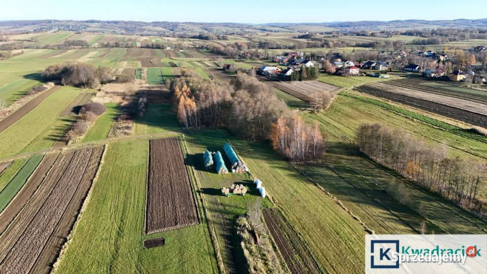 sprzedaży gruntu Nowy Żmigród 9325m2 sprzedam