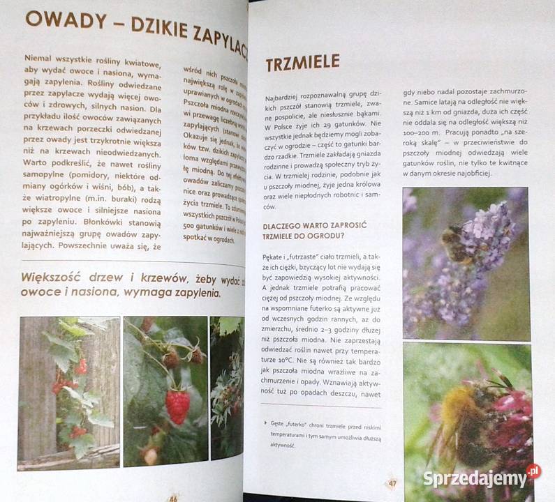 Ogród ostoja zwierząt J Niewolewska Sadownik K Rok wydania 2013 Chełm sprzedam