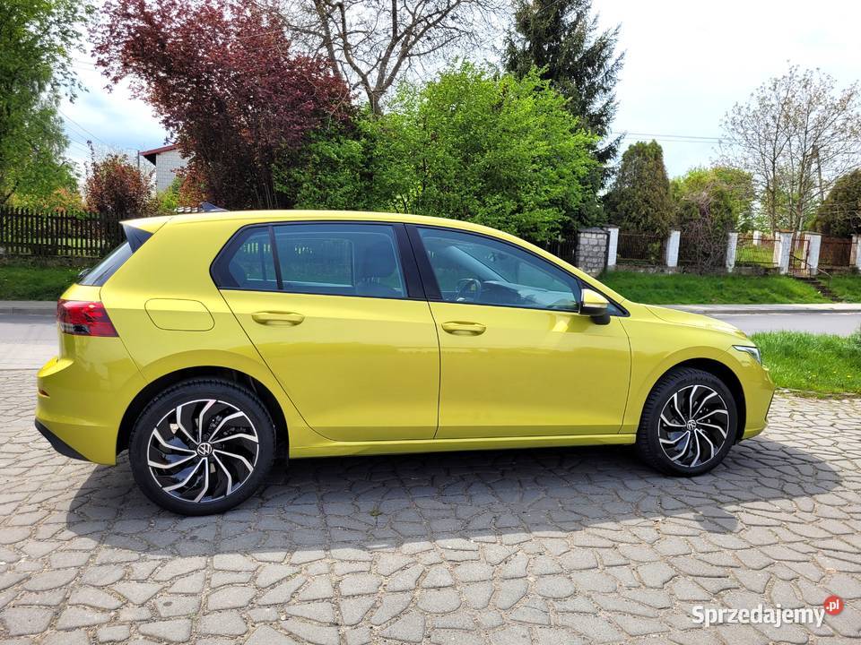 Volkswagen Golf VIII 15 eTSI EVO Life DSG immobilizer Sandomierz