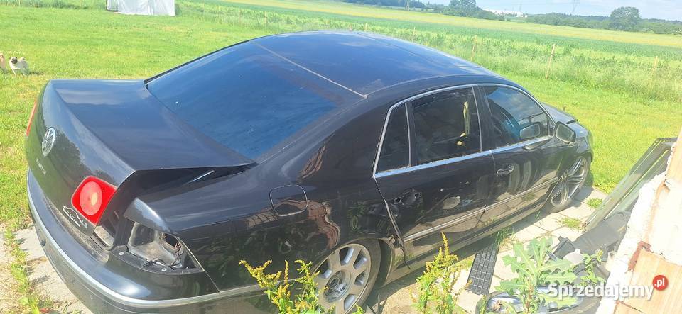vw phateon 42 2003r na części Motoryzacja Góra Świętej Anny