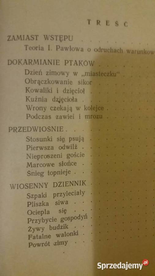 Ptasie miasteczko książki ładne dziecięce Warszawa