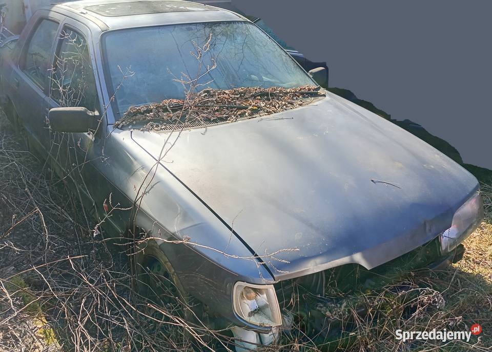 Ford sierra 20 EFI Bydgoszcz
