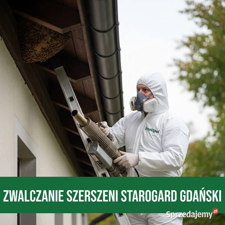 Zwalczanie Szerszeni Starogard Gdański Usuwanie