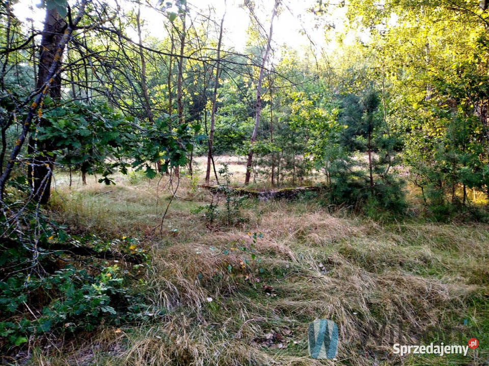 Grunt Niemianowice 1800m2 sprzedam