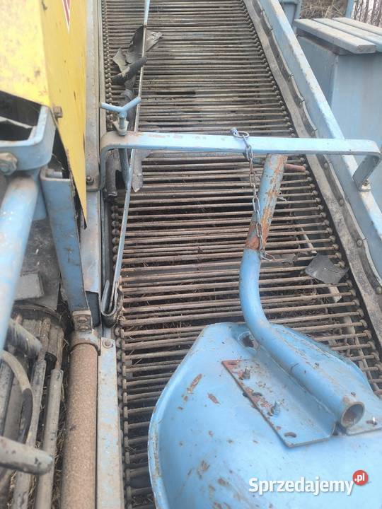 Kombajn do ziemniaków karlik Kalisz