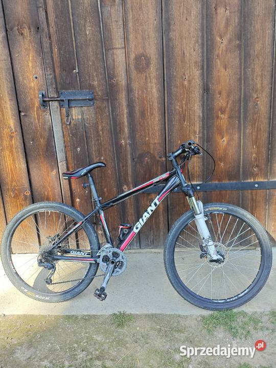 Rower Giant Frysztak