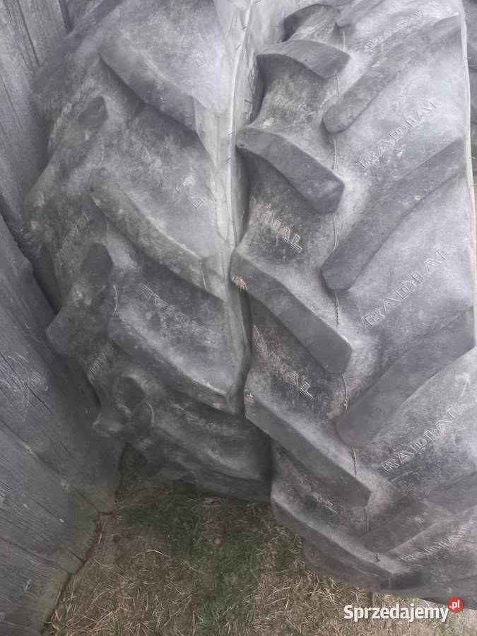 Opony 12432 Radial Śliwice sprzedam