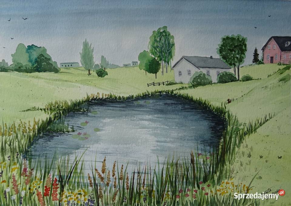Akwarela Akwarelka Obraz pt Lato w Filipowie Aleksandrów Łódzki
