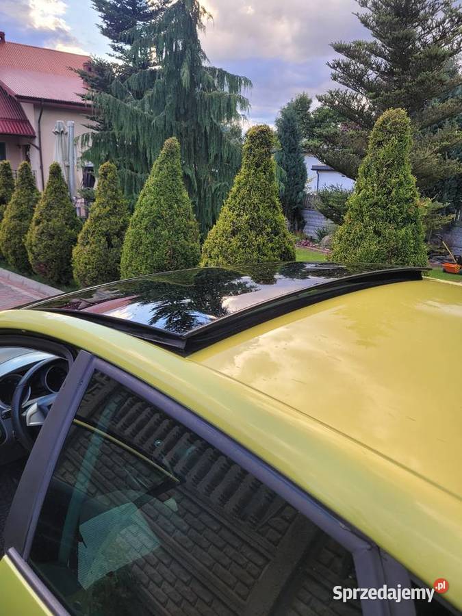 Seat Ibiza 2009 nieuszkodzony