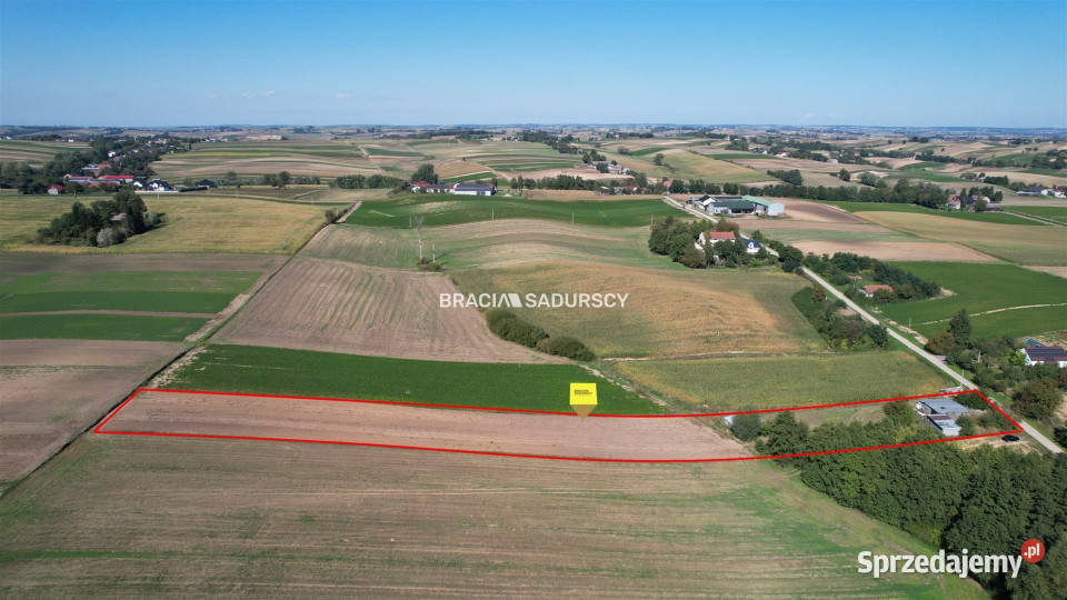 Grunt do sprzedania Kazimierza Wielka 7730m2 7730m2