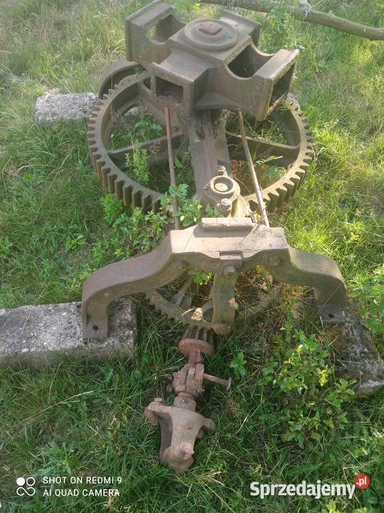 Kierat konny Kamienica Królewska