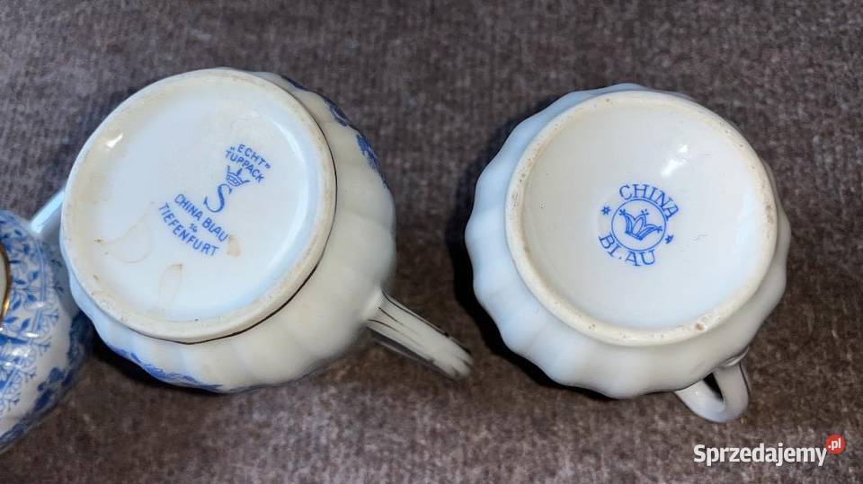 Mlecznik China Blau Niższy pomorskie Gdańsk