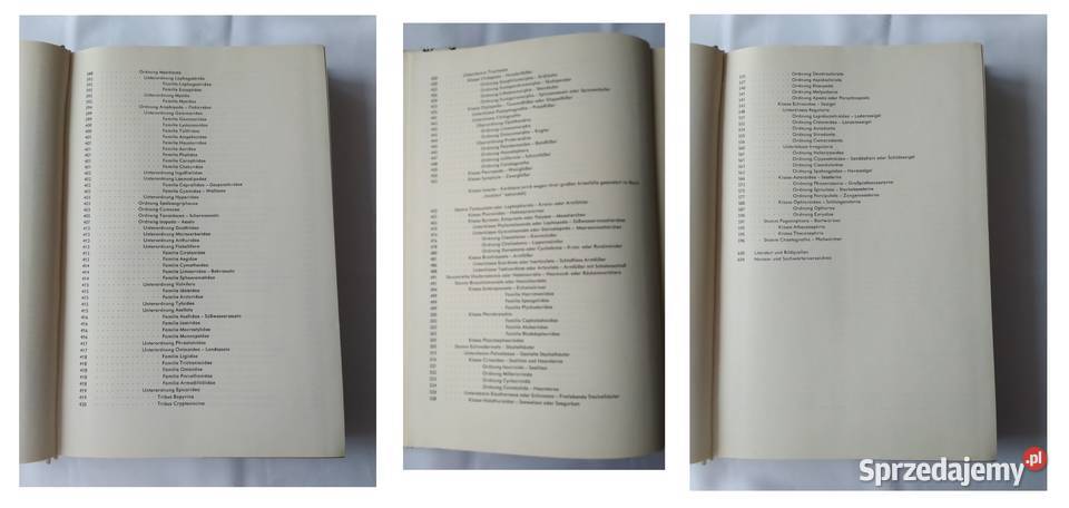 URANIA TIERREICH Annelida bis Chaetognatha Książki naukowe i popularnonaukowe Hajnówka