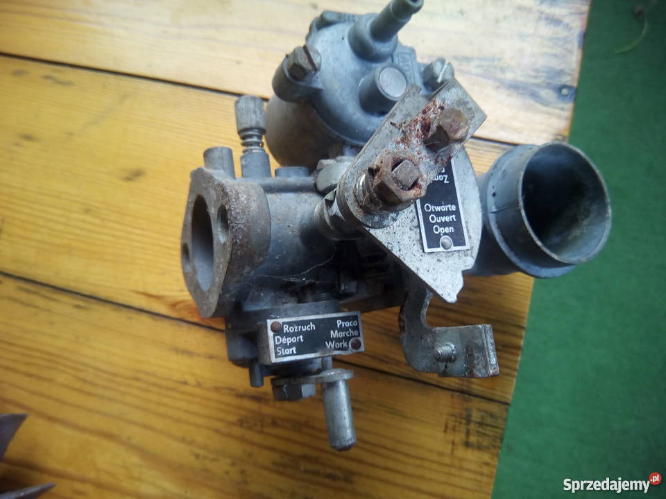 DZIK 21 części Gniezno