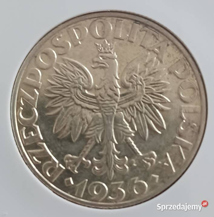 5 Żaglowiec 1936 r około mennicze AU55 GCNEEC Konin sprzedam