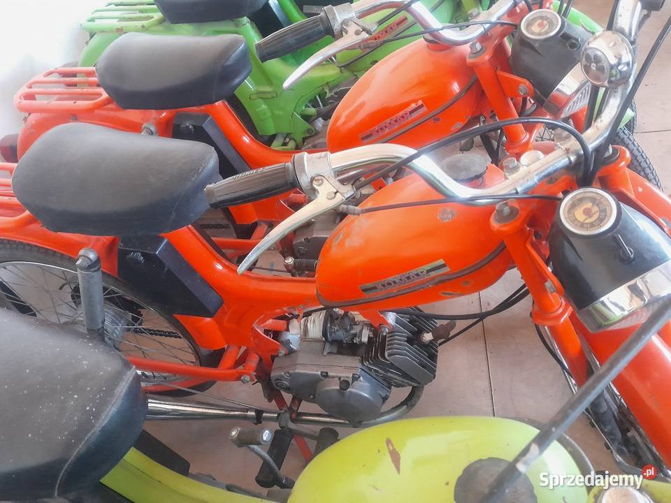 Komar 2352W export w oryginale Mirzec