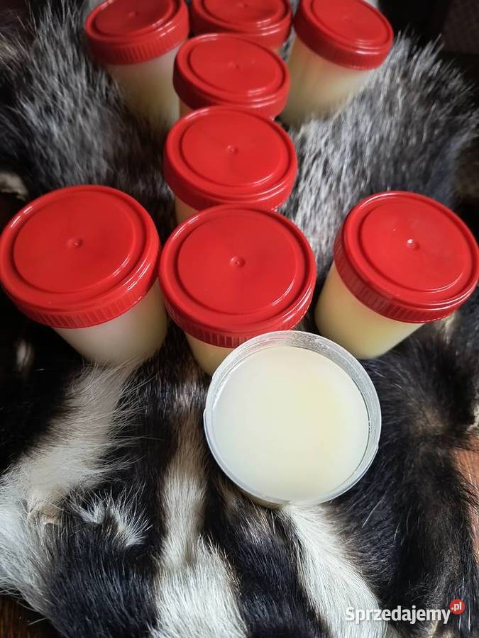 smalecsadło z borsuka Pozostałe Mielec