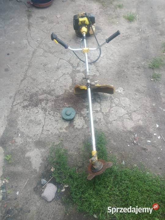 Kosa spalinowa kujawsko-pomorskie Kcynia