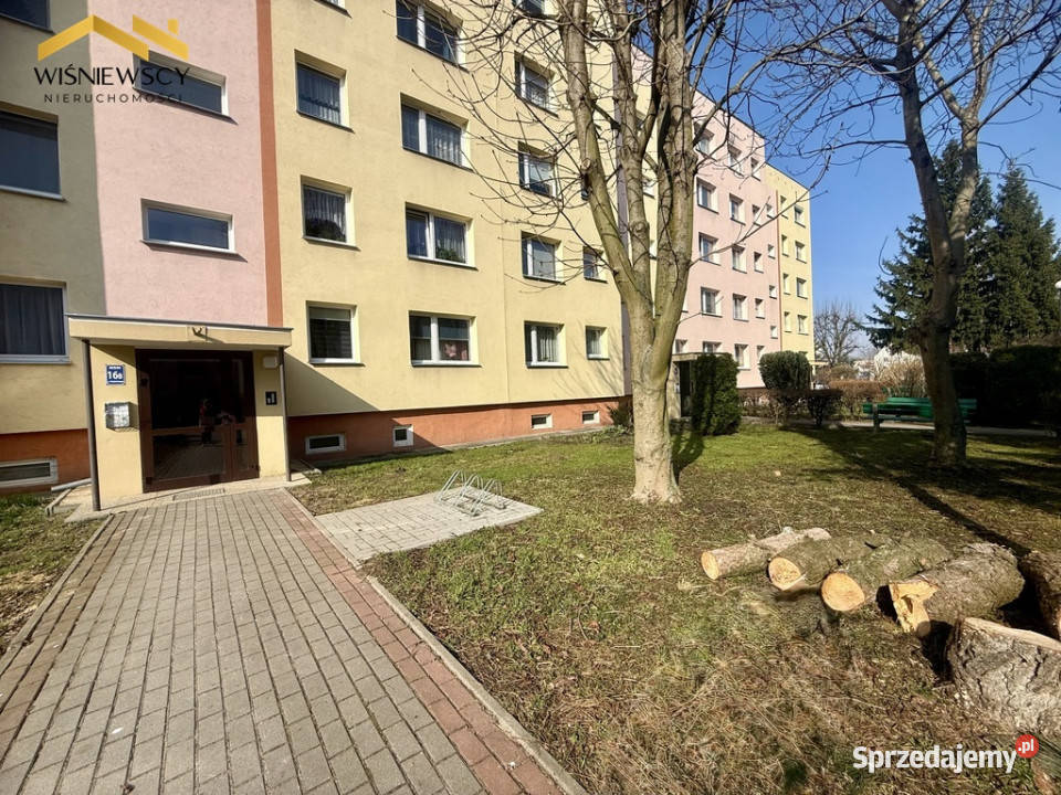 Kawalerka Malbork os Południe