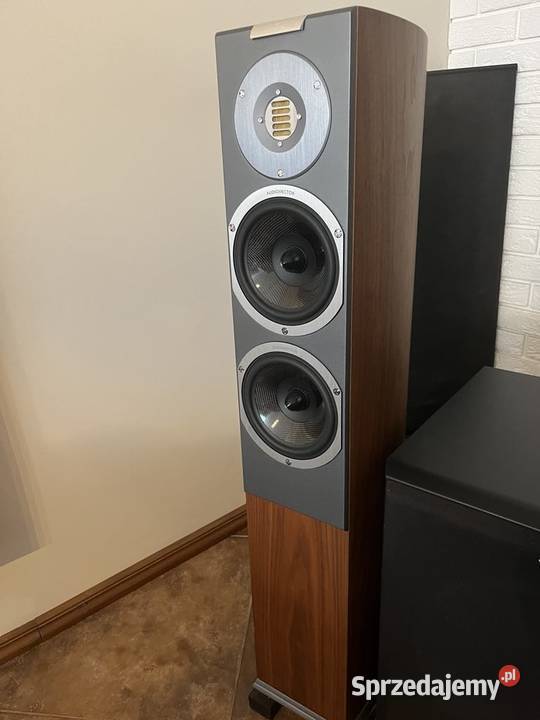 Kolumny podłogowe Audiovector R3 Arrete