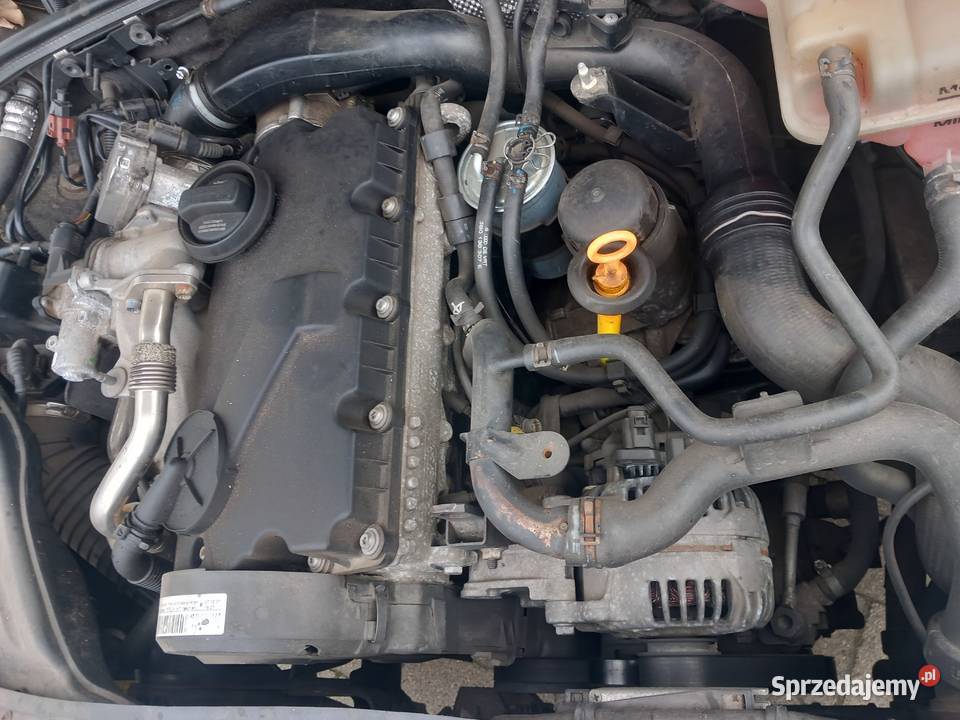 Audi a4 b7 19 2007 A3 passat golf sportsvan A4 wielkopolskie Wolsztyn