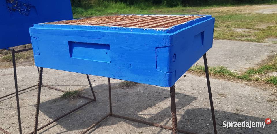 Półkorpus Dadant Rolnictwo Opatów