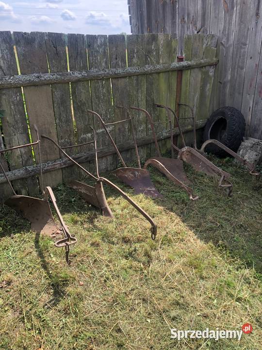 pługi konne Banachy