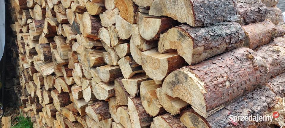 Sosna opałowa drewno opałowe opał iglasty Bełchatów