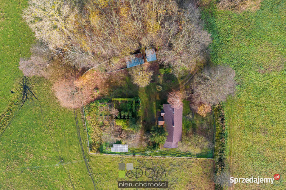 Dom wolnostojący Lipki Małe 9968m2 Sprzedaż
