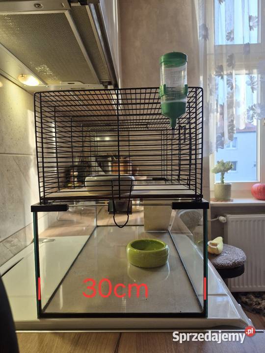 Klatka gryzoni Dla gryzoni śląskie