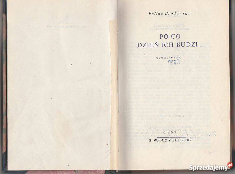 7297 CO DZIEŃ ICH BUDZI OPOWIADANIA FELIKS sprzedam